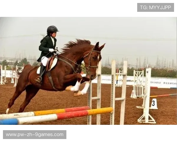 西部马术竞技赛热度飙升，藏族少年一战成名，藏族马术比赛